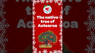 Whats the MOST FESTIVE Christmas Tree in New Zealand christmas christmassongs [upl. by Adnilev]