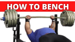 The ULTIMATE Bench Press Tutorial Feat Julius Maddox [upl. by Netaf512]