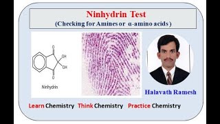 Ninhydrin Test [upl. by Tchao]