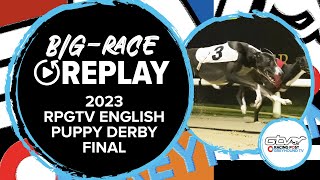 2023 RPGTV English Puppy Derby  King Memphis  Greyhound Replays  2023 Big Finals [upl. by Ynohtnaleahcim933]