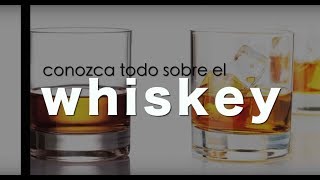 Whisky  cómo tomar tipos de whiskys y demás datos [upl. by Huntley564]