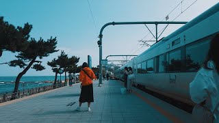 Jeongdongjin Station  The nearest train station to the sea in Korea [upl. by Tutankhamen177]