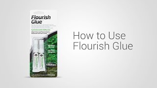 Using Flourish Glue [upl. by Ahsei]