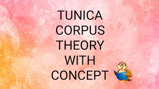 tunica corpus theory [upl. by Notlek]