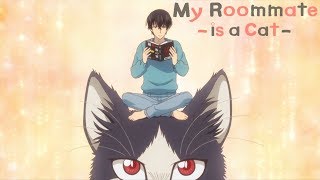 My Roommate is a Cat  Opening  Unknown World [upl. by Ennaeirb939]