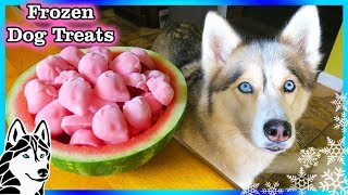 DIY DOG ICE CREAM Neapolitan Ice Cream for Dogs  Snow Dogs Snacks 51  Dog Treats [upl. by Eylrahc]