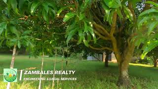 4324 SQM Farm in San Antonio Zambales [upl. by Atsillak]