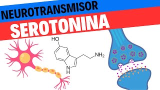 Fisiología de la Serotonina Neurociencias 13 [upl. by Shippee]