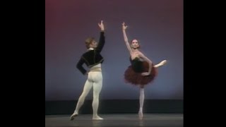 Mikhail Baryshnikov and Gelsey Kirkland  Don Quixote PDD 1976 [upl. by Binah193]