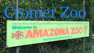 Cromer Zoo AMAZONA ZOO vlog 2024 [upl. by Lorianne]