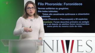 Zoologia de Invertebrados  Aula 24  Lofoforados  Filos Phoronida Ectoproctos Brachiopoda [upl. by Robinett]