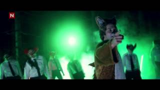 Ylvis  THE FOX BACKWARDS What Does The Fox Say Reversed [upl. by Vharat]