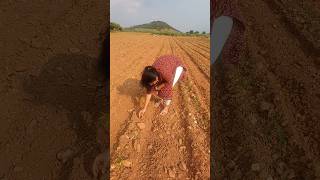 అనుకుంటే కానిది ఏమున్నది shortvideo viralshorts harika rathod [upl. by Yr]