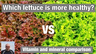 How to Easily Shred Lettuce [upl. by Rehprotsirhc]