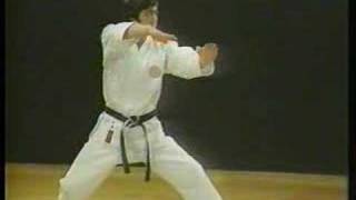 Heian Yondan  Shotokan Karate [upl. by Nyltiak758]