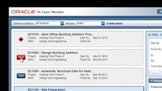 Primavera P6 Team Member Web Application [upl. by Bradman]