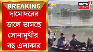 Bankura News  দামোদরের জল বাড়ায় বিপত্তি বন্যা পরিস্থিতি Sonamukhi ব্লকের বেশ কয়েকটি গ্রাম [upl. by Osmond]