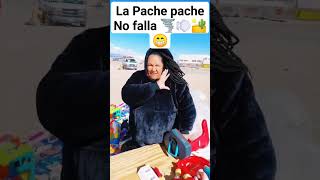 Llueva truene o relampaguee la Pache pache no falla chingau 🤣 pachepache cdjuarez shorts tiktok [upl. by Crowell]