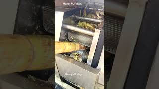 Sugarcane Juice  Is Sugarcane Juice a health drink  Ganna Juice At Home  Indian Street Food [upl. by Marou]