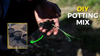 How to Make Your Own Potting Mix  Easy DIY Recipe [upl. by Rise]