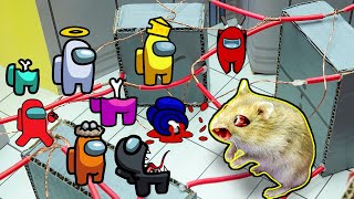 🐹 Hamster impostor Among Us 🐹😱 Hamster Hunting Among Us Maze Traps 😱OBSTACLE COURSE😱  BONUS [upl. by Retsevlys]