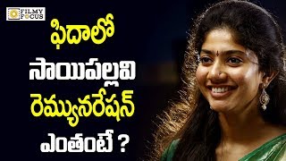 Actress Sai Pallavi Shocking Remuneration For Fidaa Movie  Filmyfocuscom [upl. by Amalie866]