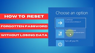 How To Reset Forgotten Password in Windows 11 Without Losing Data2024 [upl. by Ogawa708]