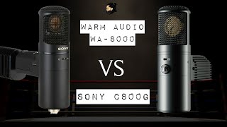 Warm Audio WA8000 VS Sony C800G  MICROPHONE SHOOT OUT [upl. by Harbert]