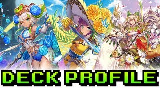 THE NEW LUARD HAS FINALLY ARRIVED  Blue Ahsha Deck Profile WITH COMBOS February 2018 [upl. by Ellezaj]