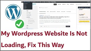 My Wordpress Website Is Not Loading Fix This Way [upl. by Deonne]