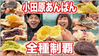 【大食い】小田原で名物のあんぱん・スイーツ・惣菜を食べ歩き！【菓子パン】 [upl. by Rhodes705]