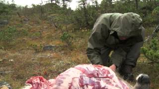 How to Quarter and Pack Game out of the Backcountry  Conservation Field Notes with Steven Rinella [upl. by Sigismondo]