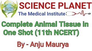 One shot lecture Of Animal Tissue ll NEET ll By Anju Maurya ll [upl. by Prud]