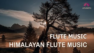 Himalayan Flute Music  Meditation Music  Relaxing Music  बाँसुरी Aparmita Ep 146 [upl. by Crompton]