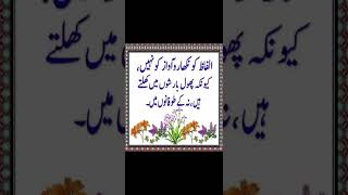 islamicstatus poetrychannel love like viralclips subscribers shortvideos fbyシviral poetry [upl. by Burg]