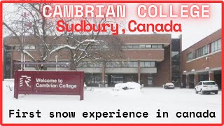 Cambrian College Sudbury Ontario First Snow  Cambrian College International Student  Nepali [upl. by Edythe961]