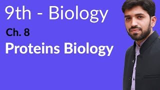 Matric part 1 Proteins Biology  Ch 8 Nutrition  9th Class Biology [upl. by Maris]