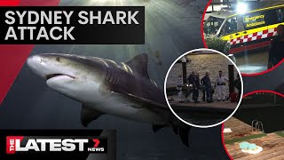 Woman mauled by shark in Sydney Harbour  7 News Australia [upl. by Ahselet685]