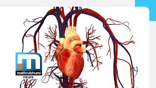 Damages To Heart Valves Doctor 2PM Mathrubhumi News [upl. by Racklin]