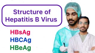 Hepatitis B Virus HBV  HBsAg  HBcAg  HBeAg [upl. by Lower934]