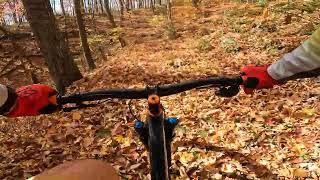 National Forest Mountain Biking Fall 2023 [upl. by Chapa797]