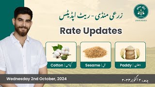 Daily Grain Market Updates Cotton Sesame amp Paddy  کپاس، تل اور دھان Wednesday 2nd Oct 2024 [upl. by Atteuqcaj947]