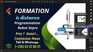 Formation gratuite à distance Robot SEPRO chapitre 5 v2 dépose pièce [upl. by Nedyrb]