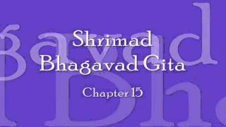 Bhagavad Gita  Chapter 15 Complete Sanskrit recitation [upl. by Sumetra]