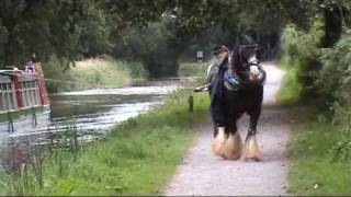 Grand Western Canal  Tiverton Devon [upl. by Ifok]