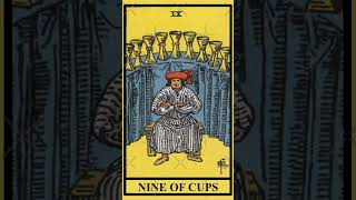 Aries tarot reading  Nine of Cups  aries shorts [upl. by Ylirama]