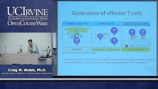 Biological Sciences M121 Immunology with Hematology Lecture 17 T CellMediated Immunity [upl. by Dnomaid]