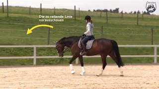 Loesdau Lessons Reitstunde mit Instagramstar fioneeeer Teil 2 Lösungsphase im Schritt [upl. by Darom598]