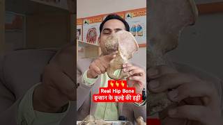 इंसान के कूल्हे की हड्डी । Real Hip Bone viral shorts [upl. by Hplodnar]