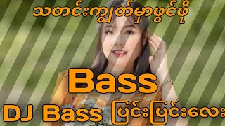 သတင်းကျွန်မှာဖွင်ဖို 2024myanmar DJMIX bass ပြင်းြပင်းလေး [upl. by Mayor]